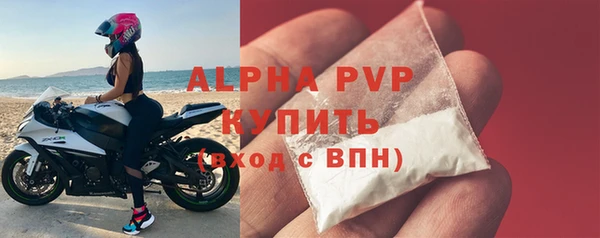 ПСИЛОЦИБИНОВЫЕ ГРИБЫ Верея