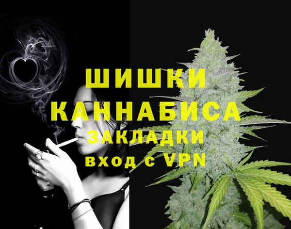 ПСИЛОЦИБИНОВЫЕ ГРИБЫ Верея