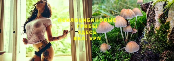 трава Верхнеуральск