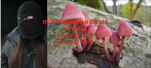 трава Верхнеуральск